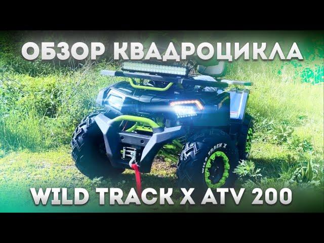 ОБЗОР КВАДРОЦИКЛА WILD TRACK X ATV 200