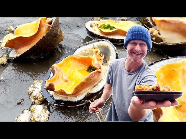 Coastal Foraging San Francisco: Catch & Cook Limpets!