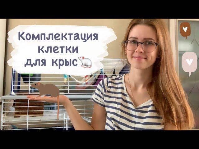 Что должно быть в клетке у крыс? Комплектация клетки для крыс Мои домики для крыс, гамаки для крыс