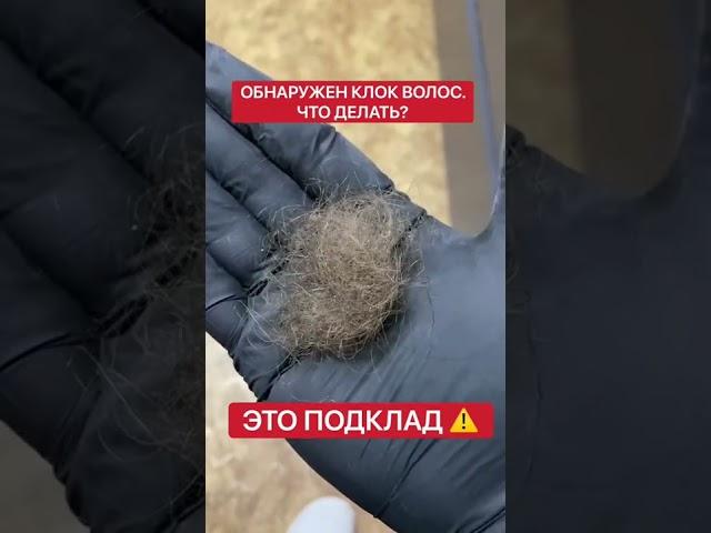 Внимание! Это — подклад | #Shorts