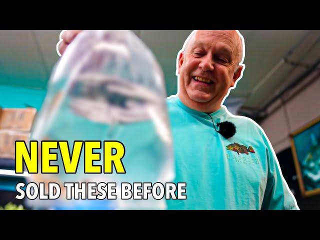 Brand New Fish Arrives! Master Breeder Unboxes His Rare Collection