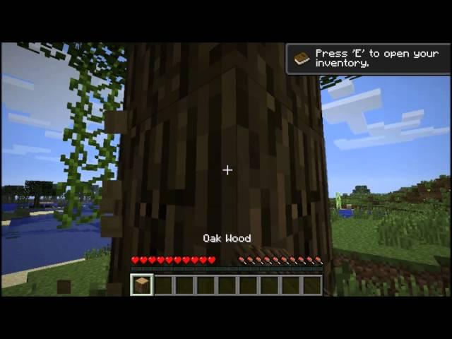Minecraft: How to make a door to Infinity.