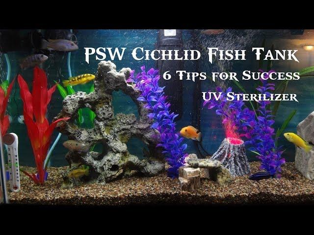 PSW Cichlid Fish Tank Update Ep #3 - UV Sterilizer and 6 Tips for Success! (HD)