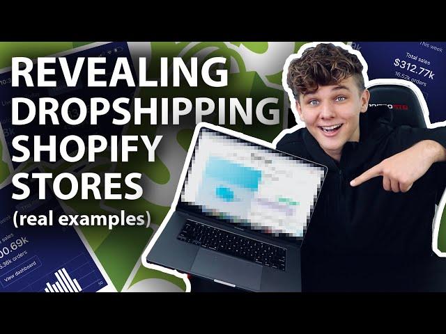 Reviewing 7 Actual Shopify Dropshipping Stores (Real Examples)