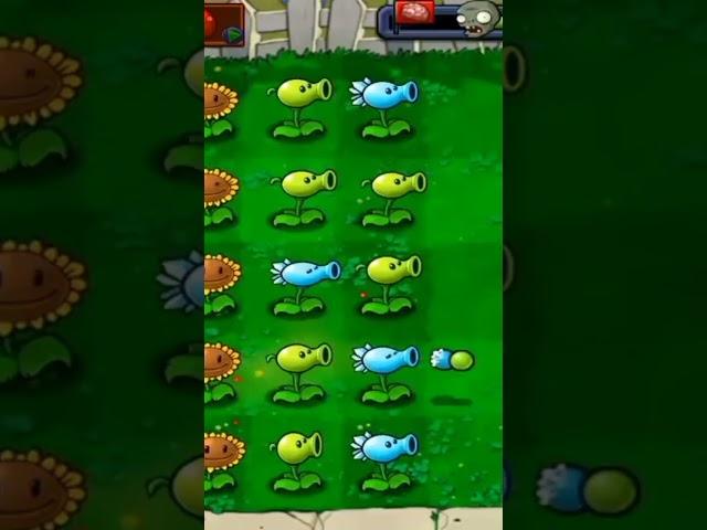 #plants vs #zombies#gameplay#oldgame#best🪴 Please like and subscribe 