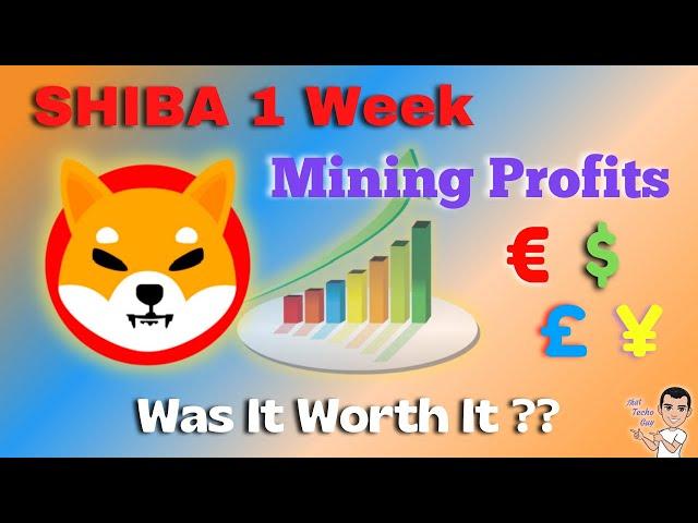 Shiba Inu Mining Profits after 1 Week using unMineable | Was it Worth It?