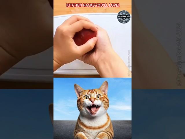 Kitchen Secrets to Save Time & Effort! P11 #memes #cookinghacks #kitchenhacks #kitchentips