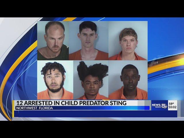 12 arrested in child predator sting