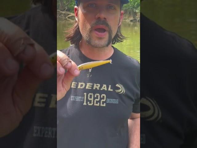 Ted Never Loses a Fishing Lure