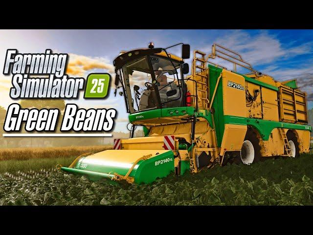 NEW CROP - GREEN BEANS! | Farming Simulator 25