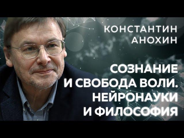 Константин Анохин о сознании, свободе воли, науках о мозге и философии