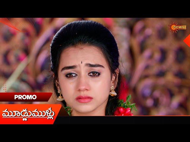 Moodu Mullu- Promo |23 Nov 2024  | Telugu Serial | Gemini TV