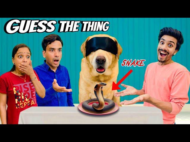 GUESS THE THING CHALLENGE | Leo ne pakad li chipkali | Anant Rastogi