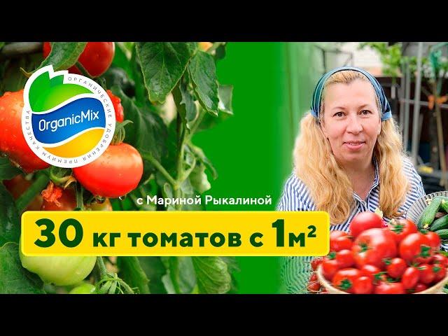 Как получить 30 килограмм томатов с 1 м²? Высадка томатов в грунт. Марина Рыкалина советует.