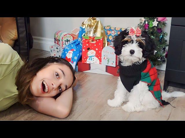 MINHA CACHORRINHA GANHOU MUITOS PRESENTES!  Lizzie Fofinha curtindo sua primeira Árvore de Natal 