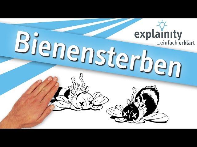 Bienensterben einfach erklärt (explainity® Erklärvideo)