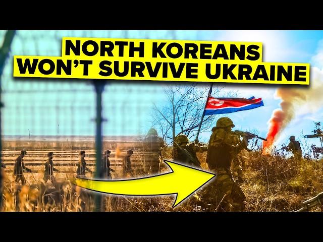 North Koreans Find Fighting Ukraine is Worse Than Kim's Labor Camps