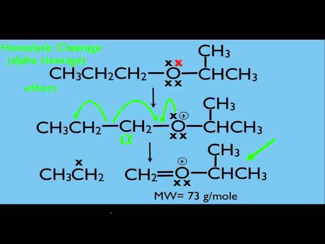 Mass Spectrometry Fragmentation Part 1