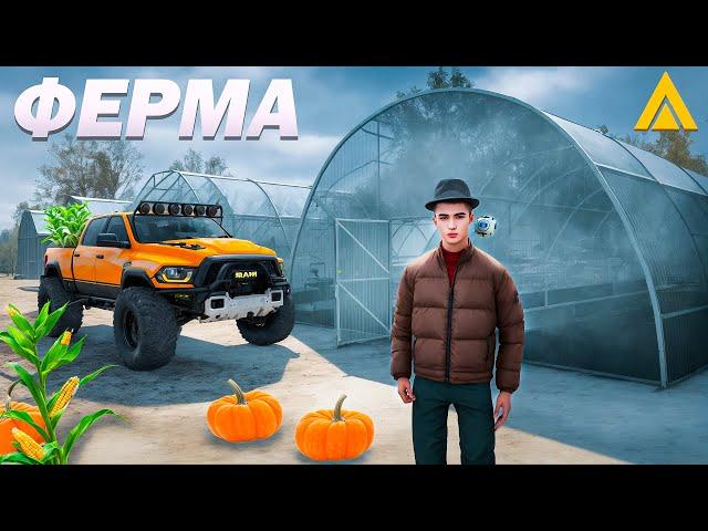 1.500.000 в ЧАС на ПРОСТОЙ ФЕРМЕ! ЛУЧШАЯ РАБОТА на АМАЗИНГ РП в GTA CRMP