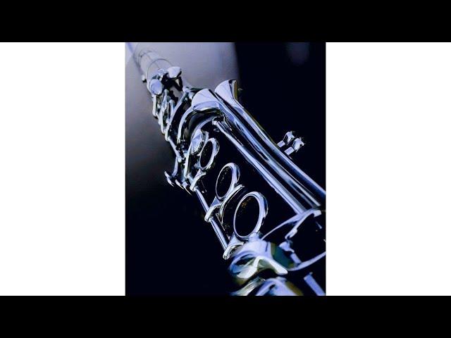 FREE FLUTE LOOP KIT 2024 | (100% Royalty Free)