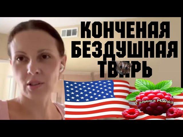 Big Big Family in the USA /Конченая бездушная тв@рь /Обзор /Жизнь в Америке /США Vlog