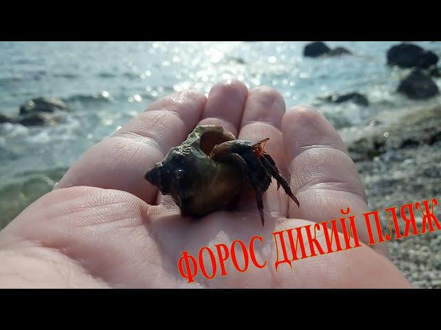 Нудистский пляж в Форосе. Успеть увидеть всё. Nudist beach in Foros.Have time to see everything.