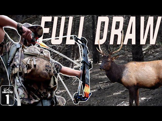 BULL ELK AT 15 YARDS (LAND OF THE FREE EP:01)