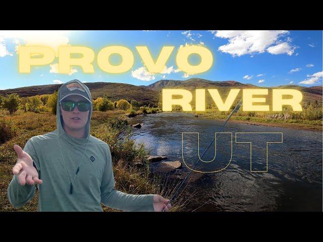 UTAH FLY FISHING // PROVO RIVER