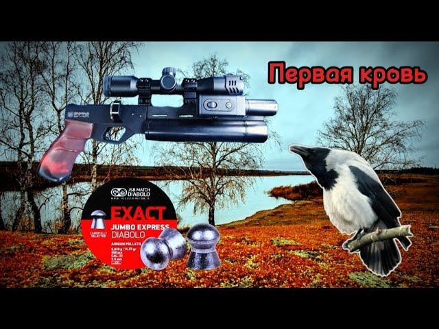 Кроухантинг: Поздняя Осень , Корсар 240 из Коробки (Первая кровь)Riderman Crowhunting