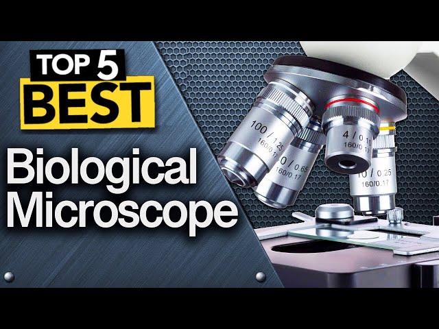  TOP 5 Best Biological Microscopes: Today’s Top Picks