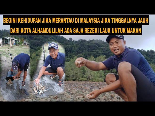 BEGINI KEHIDUPAN SAYA MERANTAU DI PERKAMPUNGAN MALAYSIA JAUH DARI KOTA ALHAMDULILAH ADA SAJA REZEKI