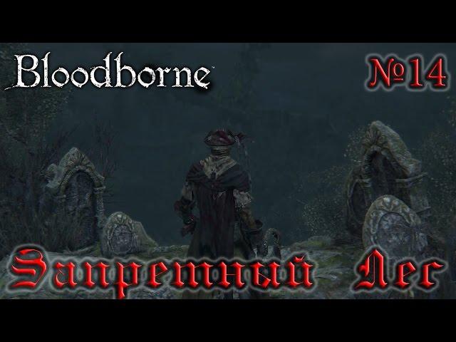 BloodBorne Прохождение, тактика и секреты - #14 Запретный Лес