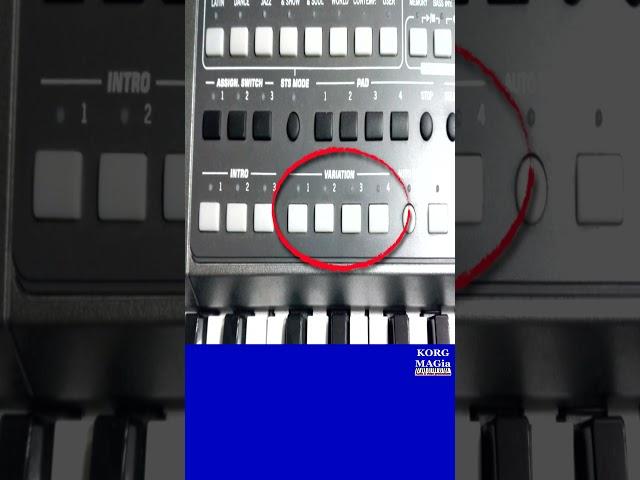 Как быстро освоить синтезатор 4⭐ SHIFT + VARIATION combination KORG Pa900~manual