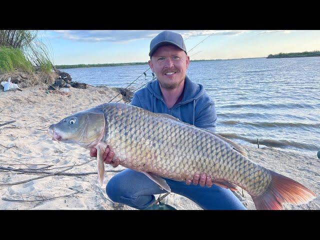 Big fish Рыбалка на Амуре сазан эксклюзив