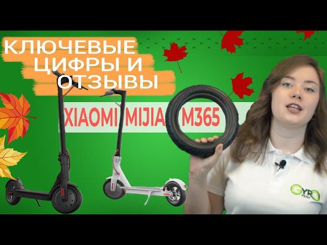 Электросамокат Xiaomi Mijia M365 [Отличия от самоката Minirobot] +Читаем отзывы #Пермь