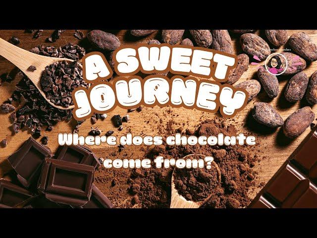 Where Does Chocolate Come From? A Sweet Journey!