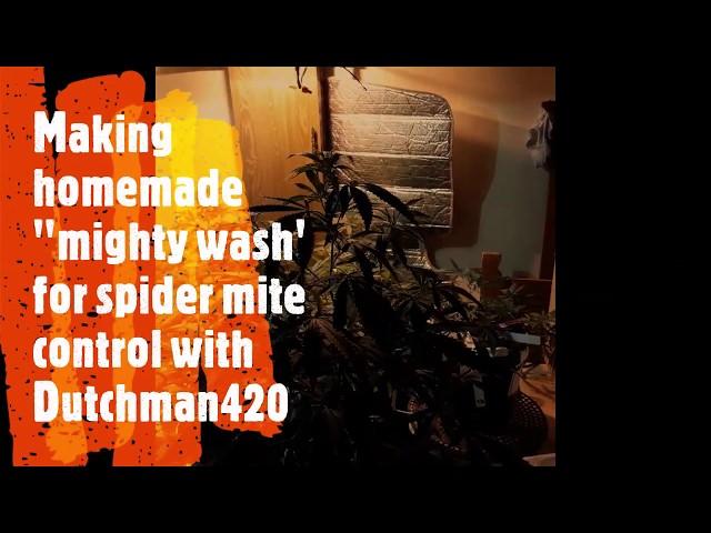 Making homemade "mighty wash" for pest control with Dutchman420