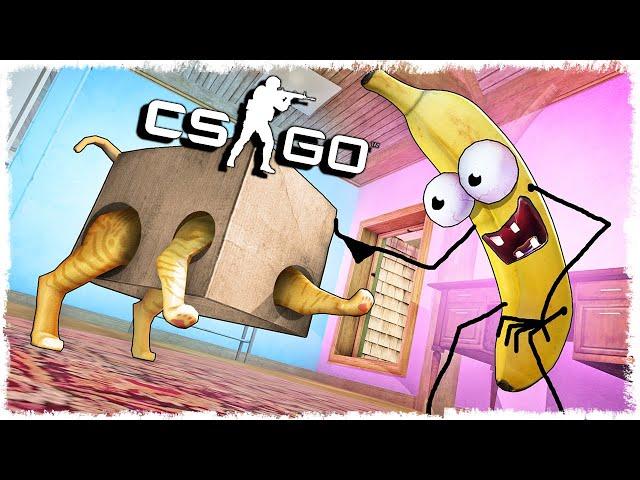 ТРОЛЛЬ БАНАН vs КОТ МАНЬЯК В CS:GO!!!