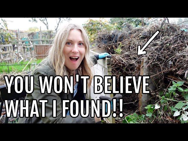 I FOUND COMPOST!!! / ALLOTMENT GARDENING UK