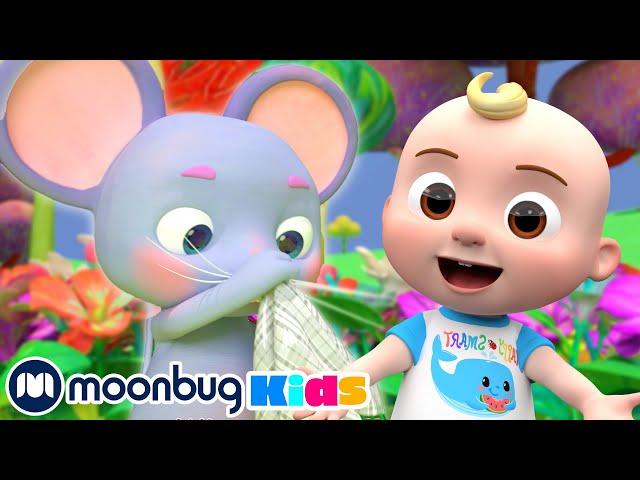 The Sneezing Song! | CoComelon One Hour Sing Along | Learn ABC 123 | Fun Cartoons | Moonbug Kids