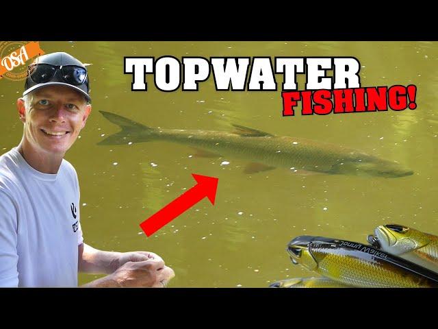 Fange das TRIPLE mit TOPWATER Köder! OSA in Mission Angeln