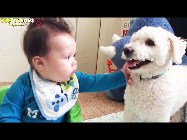 Funny Babys Play with Animals