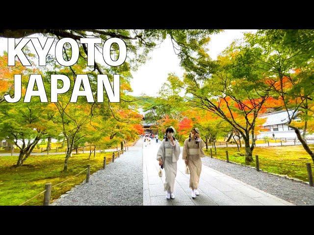 【4K】Autumn Kyoto, Nanzenji Temple Walking Tour | JAPAN 2022