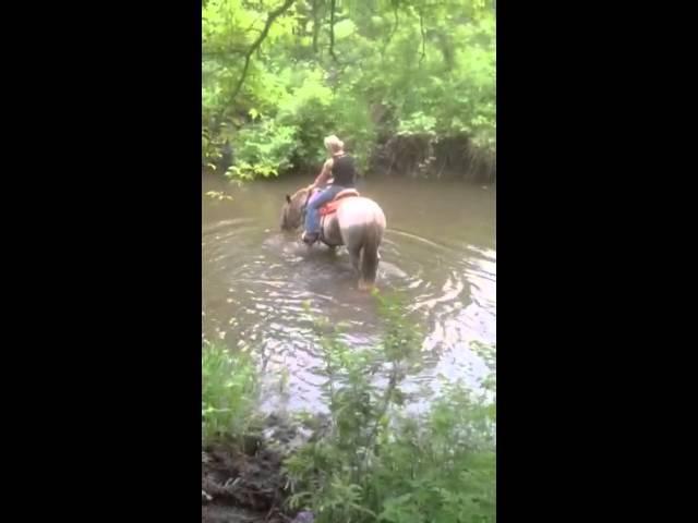 Peppy water crossing