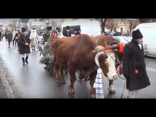 Datini si obiceiuri - Parada mascatilor, ursilor, caprelor in Suceava - 27.12.2018