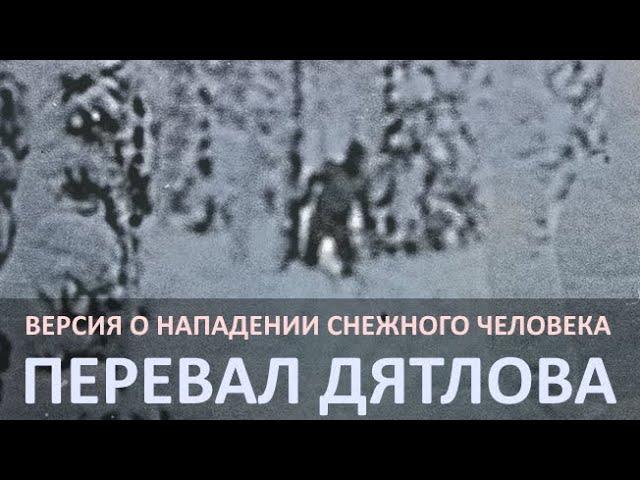 Нападение снежного человека. Версия гибели группы туристов на перевале Дятлова.