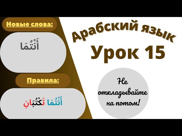 Начните сейчас! Арабский язык для начинающих. Урок 15