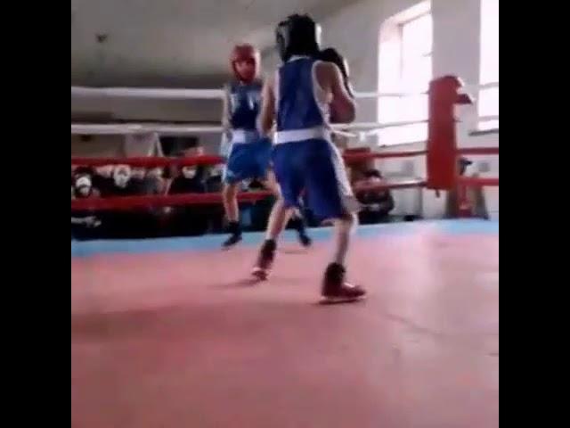 Emin mamedov boxing 