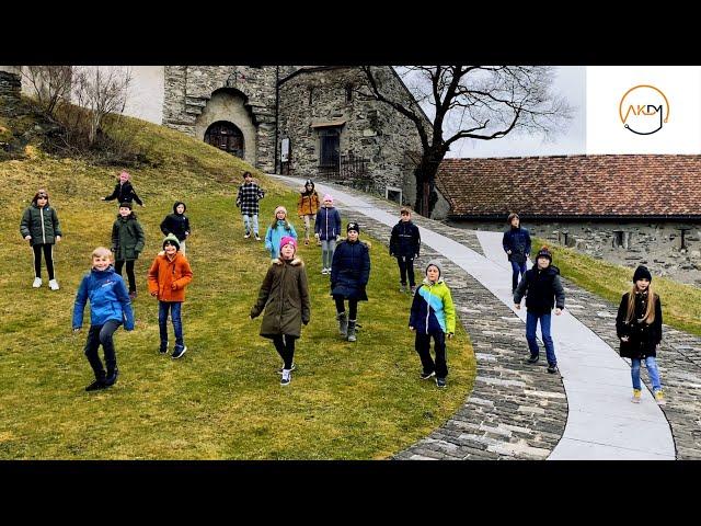 Jerusalema Dance Challenge I Klasse 4a Balzers featuring Freu(n)debewahrer Liechtenstein