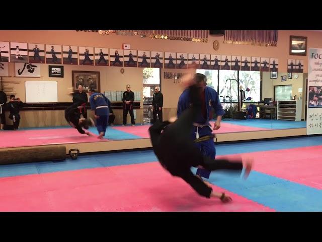 Hapkido punch defense techniques